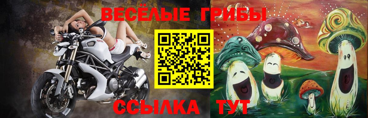 Галлюциногенные грибы GOLDEN TEACHER  Вход с VPN  дарнет шоп  Звенигород 