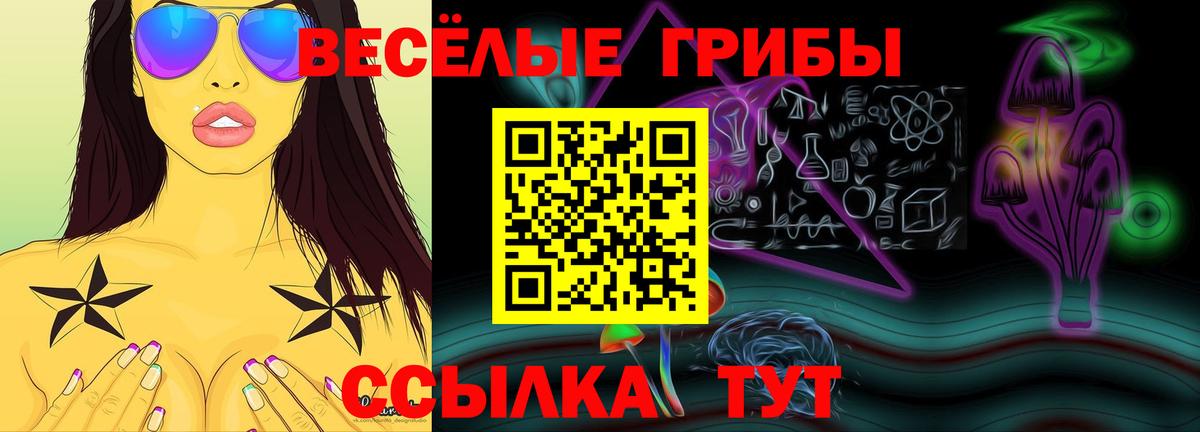Галлюциногенные грибы ЛСД Звенигород