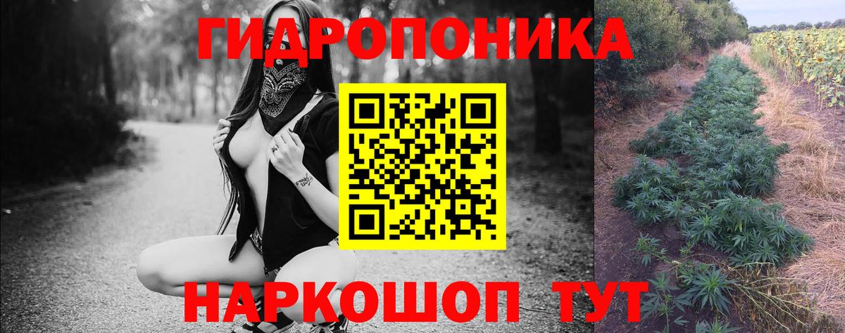 Звенигород  Канабис индика  Шишки марихуана ГИДРОПОН  Вход с VPN  Шишки марихуана тримм  МАРИХУАНА сатива 